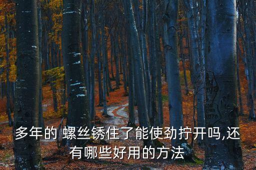 多年的 螺絲銹住了能使勁擰開嗎,還有哪些好用的方法