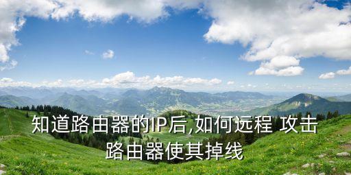 知道路由器的IP后,如何遠程 攻擊路由器使其掉線