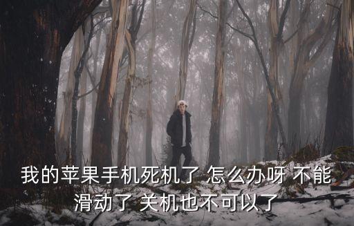 蘋果死機怎么辦，蘋果手機死機了怎么辦