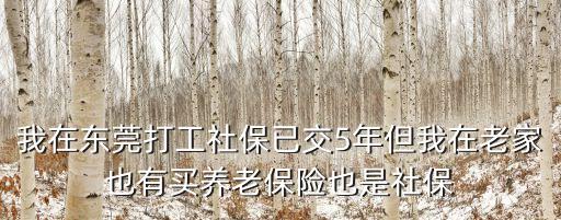 我在東莞打工社保已交5年但我在老家也有買養老保險也是社保