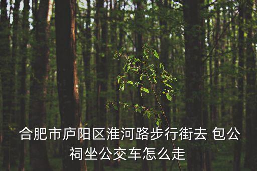  合肥市廬陽區淮河路步行街去 包公祠坐公交車怎么走