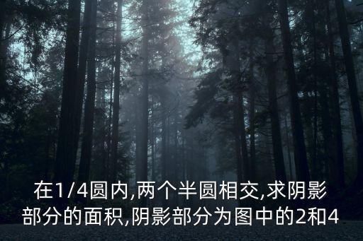 圖4,首次開放直播回放