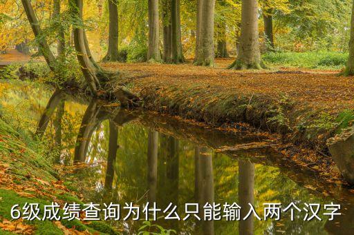 6級查分,六級考試成績查詢方法一:輸入準考證號和姓名