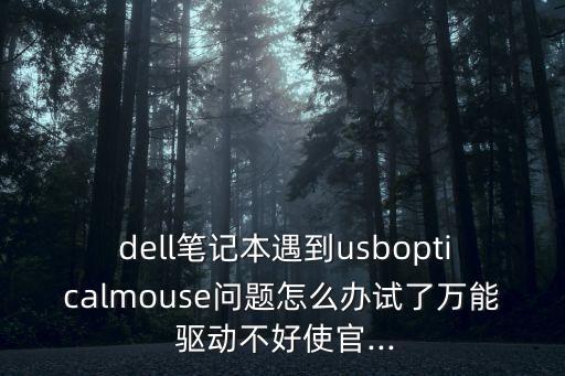  dell筆記本遇到usbopticalmouse問題怎么辦試了萬能 驅(qū)動不好使官...