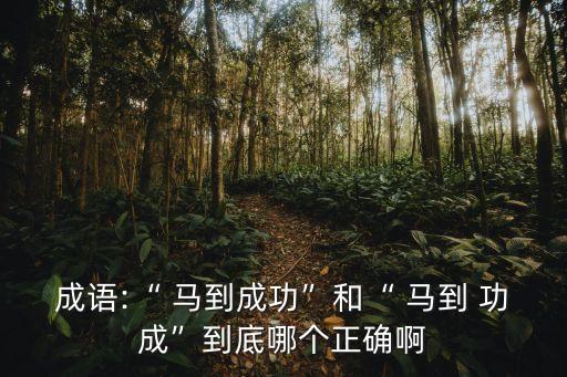 成語(yǔ):“ 馬到成功”和“ 馬到 功成”到底哪個(gè)正確啊