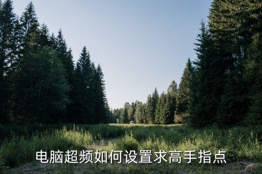 電腦超頻怎么設(shè)置，電腦超頻如何設(shè)置求高手指點(diǎn)