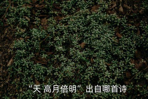 “天 高月倍明”出自哪首詩(shī)