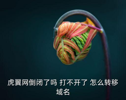 虎翼網倒閉了嗎 打不開了 怎么轉移域名
