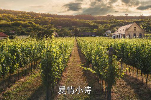 愛情短詩，最美的情詩短句有哪些