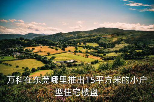 東莞蘇豪名苑是萬科，東莞哪個小區屬于萬科地產