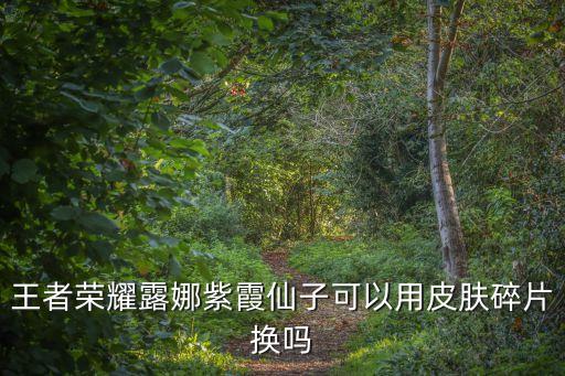 王者榮耀露娜紫霞仙子可以用皮膚碎片換嗎