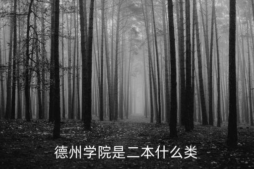 德州學院是二本什么類
