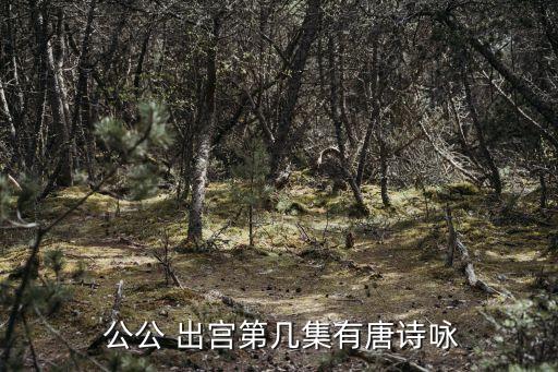  公公 出宮第幾集有唐詩(shī)詠