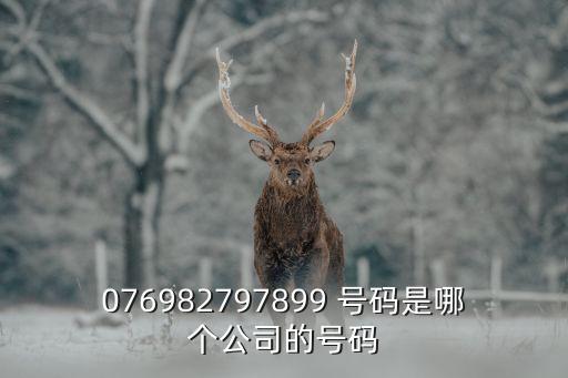076982797899 號碼是哪個公司的號碼