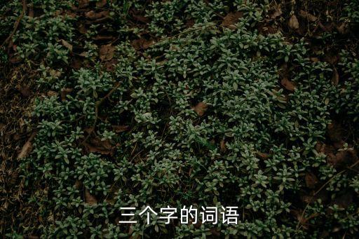 三個字的詞語