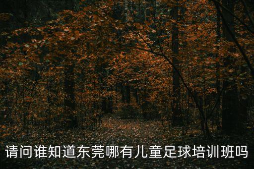 廣東東莞36號(hào)球衣，請(qǐng)問誰知道東莞哪有兒童足球培訓(xùn)班嗎