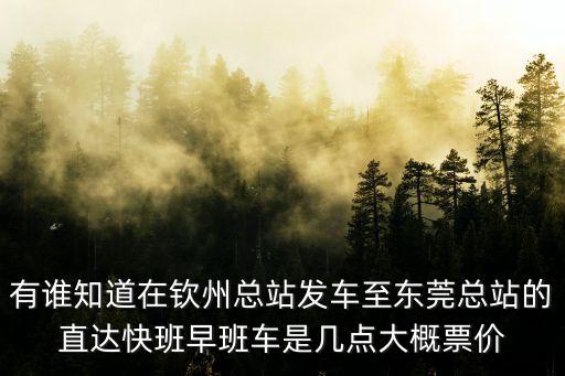 有誰知道在欽州總站發(fā)車至東莞總站的直達(dá)快班早班車是幾點(diǎn)大概票價(jià)