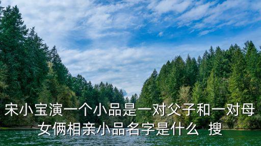 宋小寶演一個小品是一對父子和一對母女倆相親小品名字是什么  搜