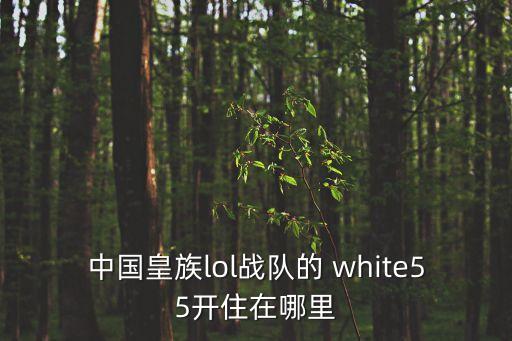 中國(guó)皇族lol戰(zhàn)隊(duì)的 white55開(kāi)住在哪里