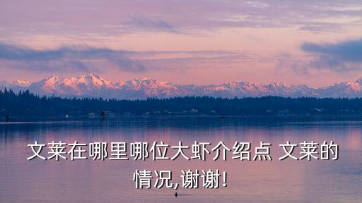  文萊在哪里哪位大蝦介紹點(diǎn) 文萊的情況,謝謝!