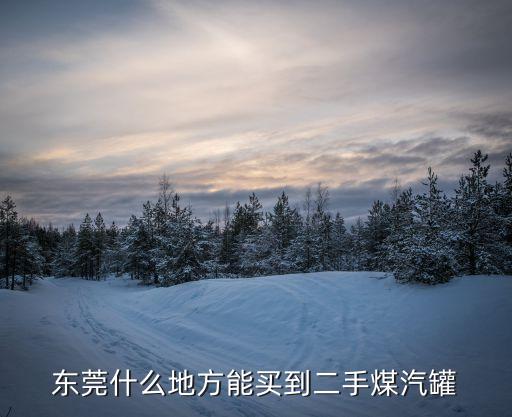 東莞什么地方能買到二手煤汽罐