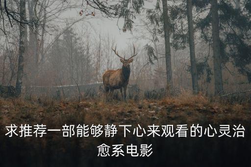 求推薦一部能夠靜下心來觀看的心靈治愈系電影