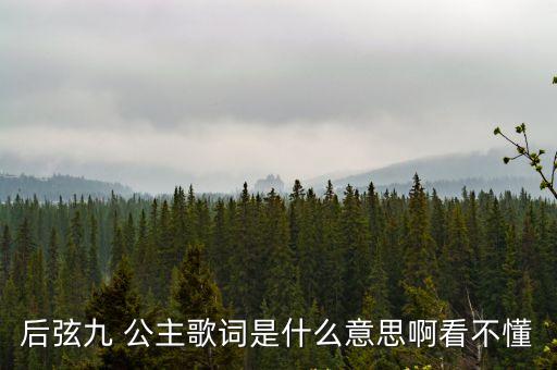 9公主,成功解救天宇公主武漢護衛隊成功救援