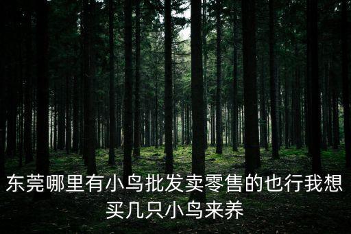 東莞哪里有小鳥批發(fā)賣零售的也行我想買幾只小鳥來養(yǎng)