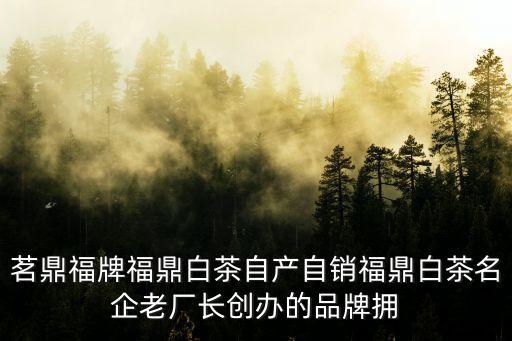 茗鼎福牌福鼎白茶自產自銷福鼎白茶名企老廠長創辦的品牌擁