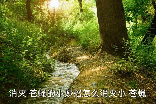 怎么滅蒼蠅,如何消滅小蒼蠅?
