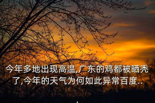 今年多地出現高溫,廣東的雞都被曬禿了,今年的天氣為何如此異常百度...