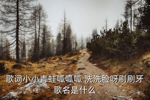 歌詞小小青蛙呱呱呱 洗洗臉呀刷刷牙歌名是什么