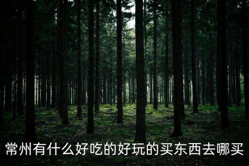 常州有什么好吃的好玩的買東西去哪買