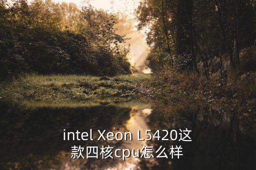 intel Xeon L5420這款四核cpu怎么樣