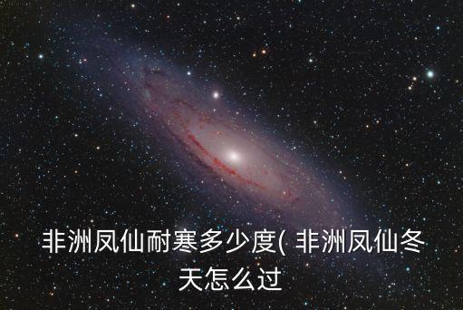 非洲鳳仙花,非洲鳳仙花的生長習性