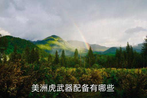 美洲虎坦克，誰來介紹虎式坦克