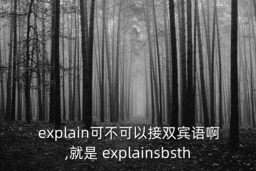  explain可不可以接雙賓語啊,就是 explainsbsth
