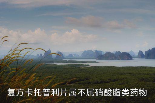 復方卡托普利片，復方卡托普利片屬不屬硝酸脂類藥物