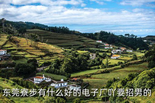 東莞寮步有什么好的電子廠吖要招男的