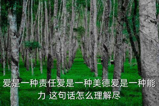 愛是一種責任愛是一種美德愛是一種能力 這句話怎么理解盡