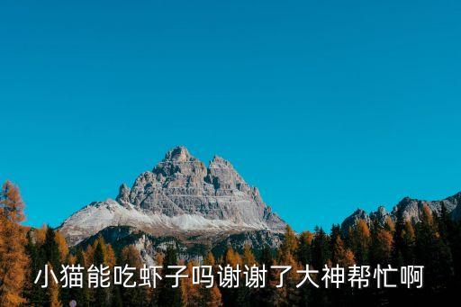 小貓能吃蝦子嗎謝謝了大神幫忙啊
