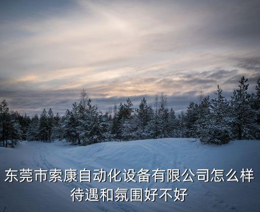 東莞市索康自動化設備有限公司怎么樣待遇和氛圍好不好