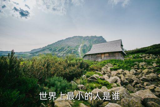世界上最小的人，世界上最小的人