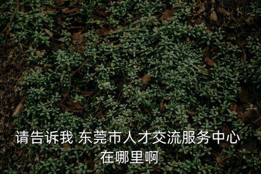 請告訴我 東莞市人才交流服務(wù)中心 在哪里啊