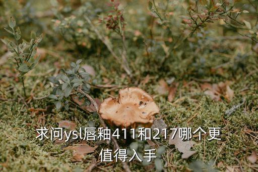 ysl唇釉，求問ysl唇釉411和217哪個更值得入手