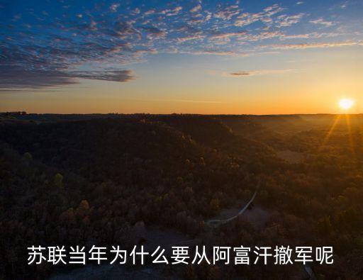 蘇聯(lián)阿富汗，蘇聯(lián)什么時(shí)候出兵入侵阿富汗詳細(xì)點(diǎn)啊
