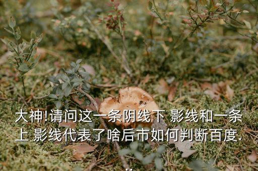 大神!請問這一條陰線下 影線和一條上 影線代表了啥后市如何判斷百度...