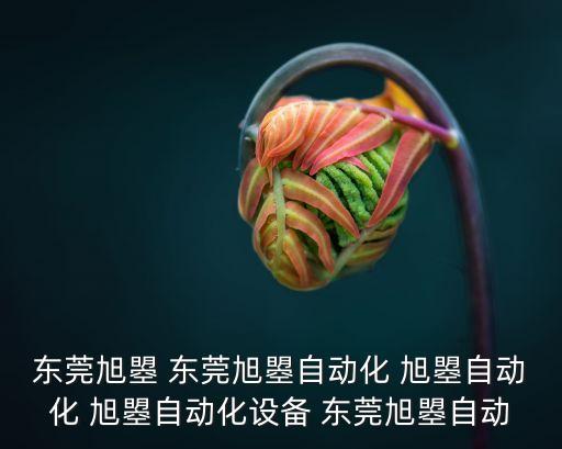 東莞旭曌 東莞旭曌自動化 旭曌自動化 旭曌自動化設備 東莞旭曌自動