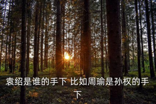 袁紹是誰的手下 比如周瑜是孫權(quán)的手下