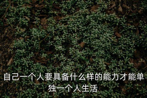 個(gè)人能力，自己一個(gè)人要具備什么樣的能力才能單獨(dú)一個(gè)人生活